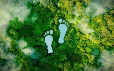 karbon-ayak-izi-nedir